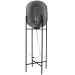 Metal Floor Lamp with Smoke Glass (SL082)